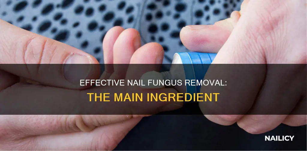 what main ingredient for nail fungus removal