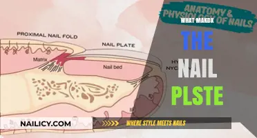 What Makes the Nail Plate: Structure, Function, and Health Essentials