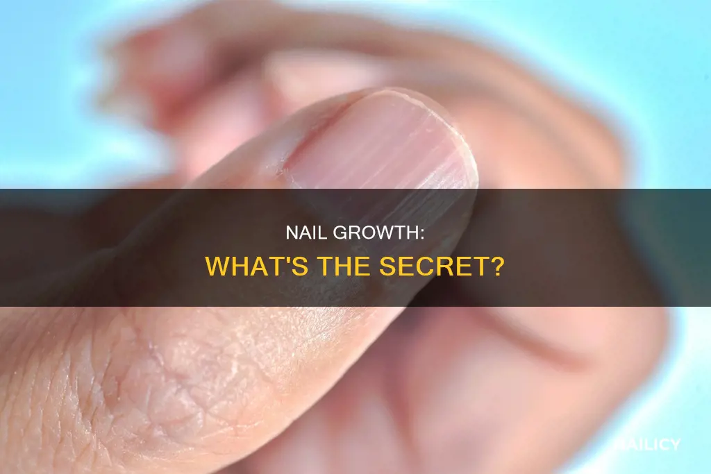 what make nail grow