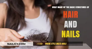 Understanding the Fundamental Components of Hair and Nail Structure