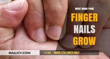 Unveiling the Secrets: What Really Makes Your Fingernails Grow Faster