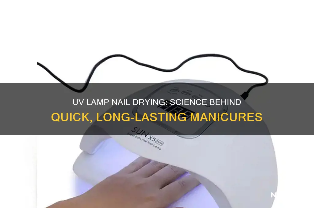 what makes a uv lamp dry nails