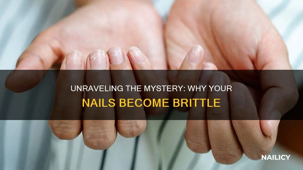 what makes finger and toe nails brittel