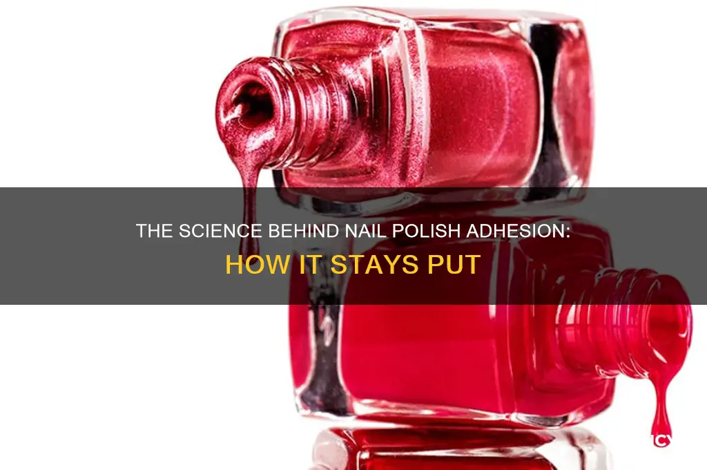 what makes nail polish adhere to the nail