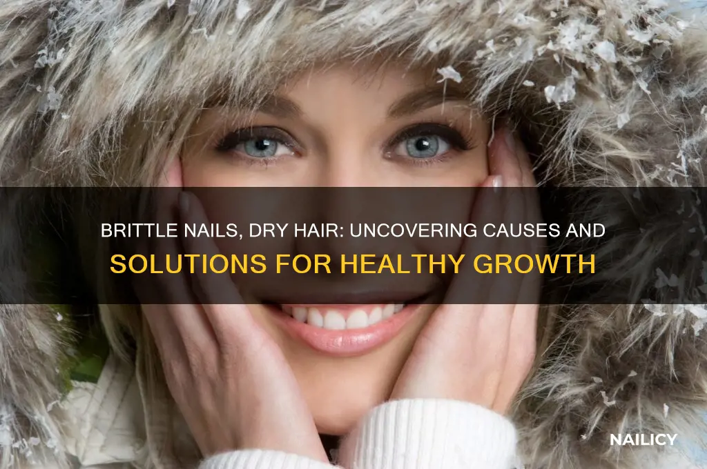 what makes nails brittle hair dry