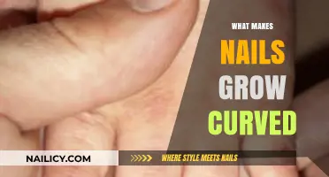 Why Do Nails Grow Curved? Uncovering the Surprising Causes and Factors