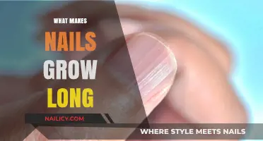 Long Nails: The Science Behind It