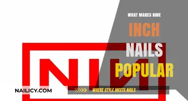 Unraveling Nine Inch Nails' Enduring Appeal: A Deep Dive into Their Success