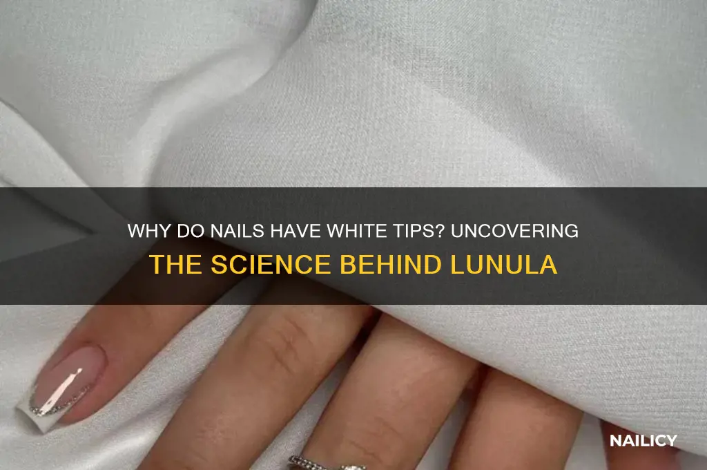what makes the tip of your nails white