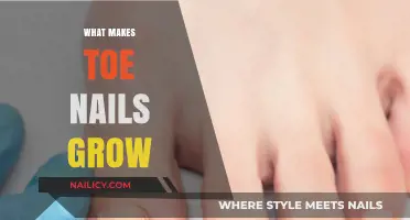 Understanding the Science Behind What Makes Toenails Grow Faster