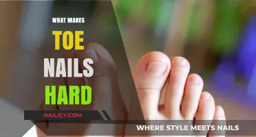 Why Are Toenails So Hard? Uncovering the Science Behind Their Strength