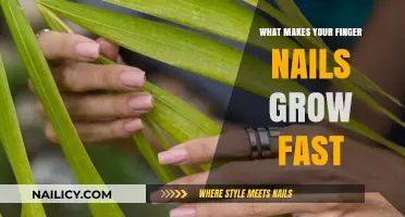 Boost Nail Growth: Secrets to Faster, Stronger Fingernails Revealed