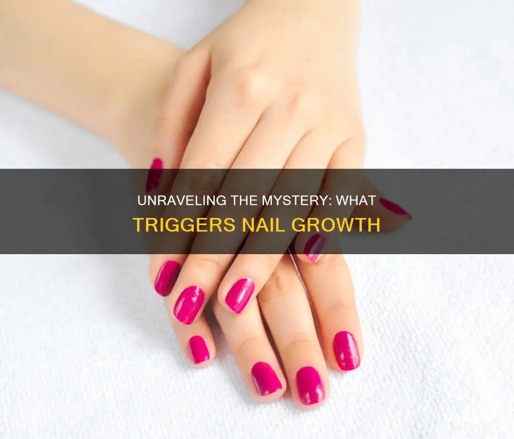 what makes your finger nails grow under