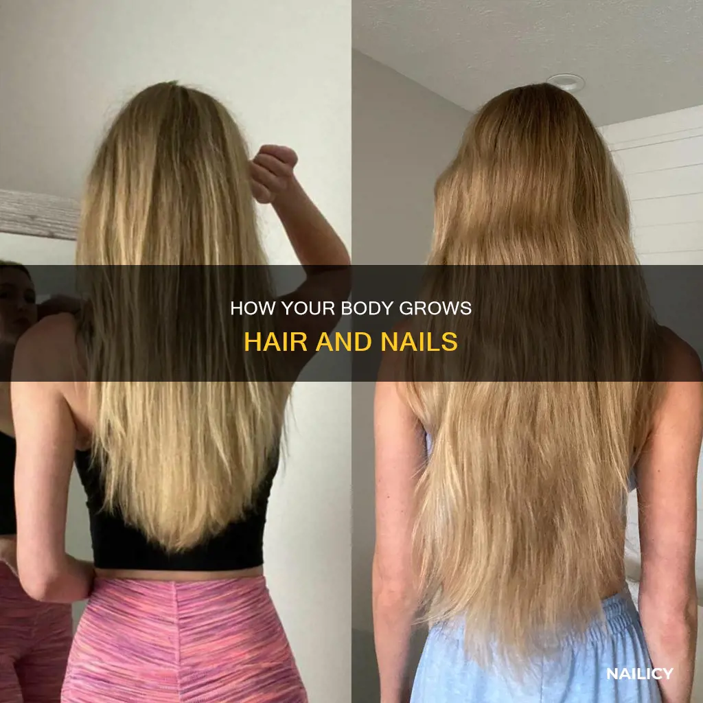 what makes your hair and nails grow