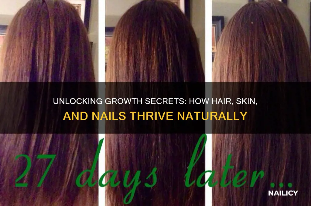 what makes your hair skin and nails grow