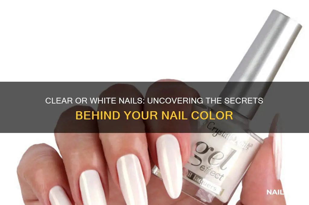 what makes your nails white or clear