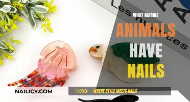 Marine Animals with Nails: Surprising Facts About Clawed Sea Creatures