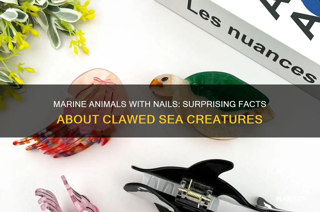 what marine animals have nails