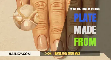 Understanding the Composition of the Nail Plate: A Material Analysis