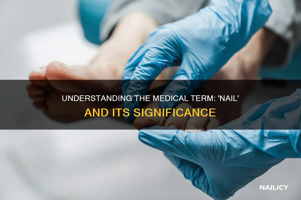 what means nail medical term