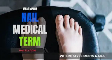 The Medical Significance of Nails: An Overview