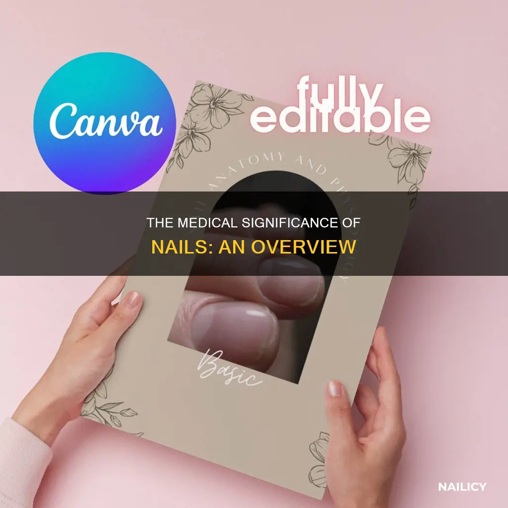 what means nail medical term