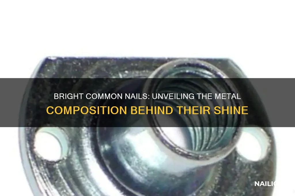 what metal are bright common nails made of