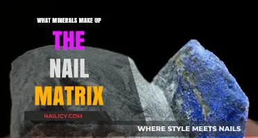 Unveiling the Nail Matrix: Essential Minerals for Strong, Healthy Nails