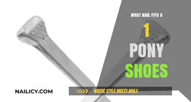 Choosing the Right Nail Size for 1 Pony Shoes: A Guide
