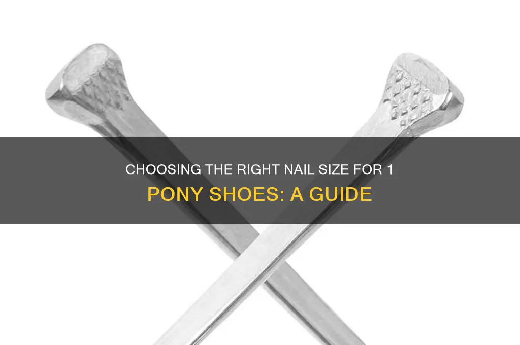 what nail fits a 1 pony shoes
