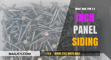 Best Nails for 1/2 Inch Panel Siding Installation Guide