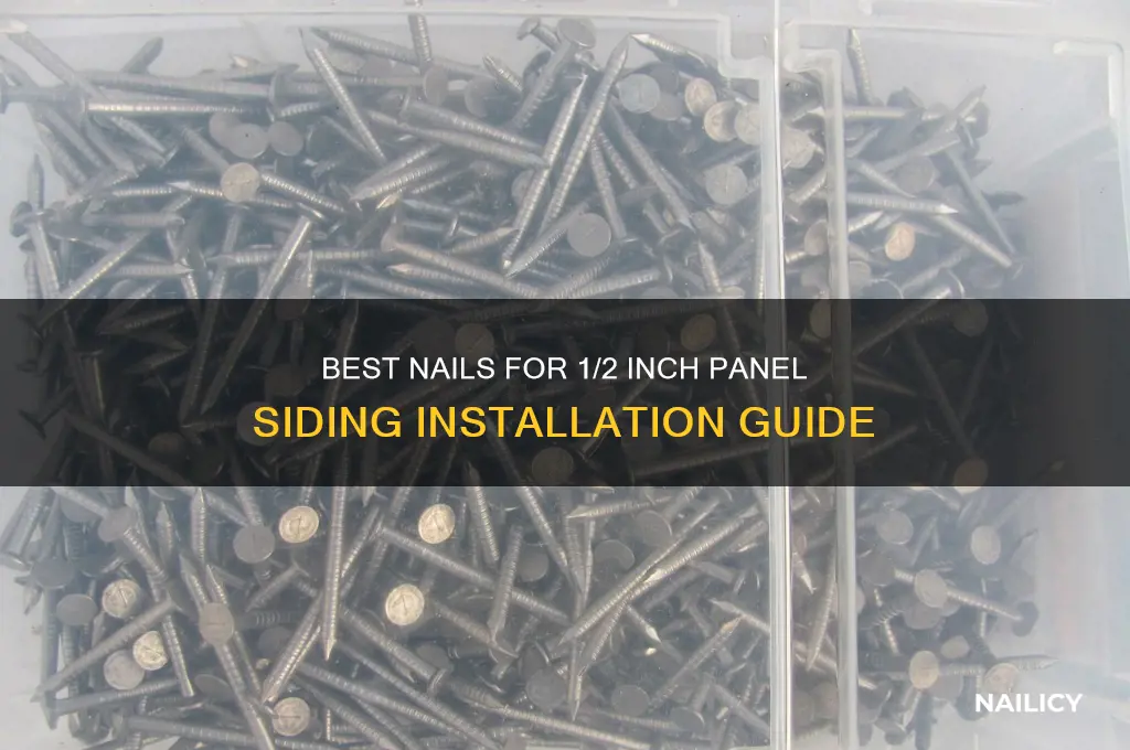 what nail for 1 2 inch panel siding