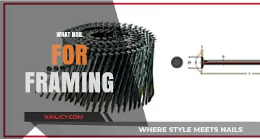 Best Nails for Framing: Types, Sizes, and Expert Recommendations