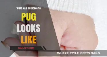 Nail Grinding for Pugs: A Gentle Guide to Safe Paw Care