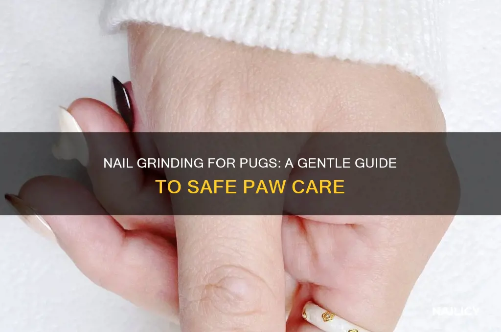 what nail grinding to pug looks like