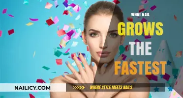 Middle Fingers: The Fastest Nail Growth