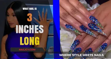 The Quest for the Longest Nails