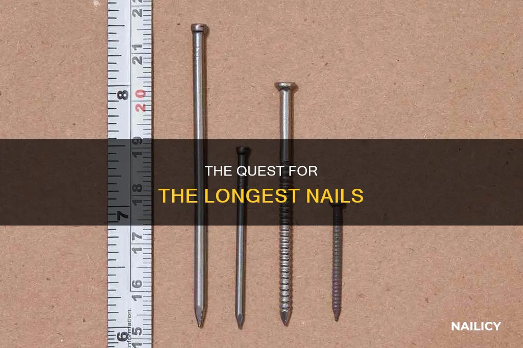 what nail is 3 inches long