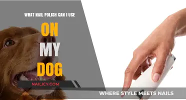 Safe and Stylish: Choosing Dog-Friendly Nail Polish Options