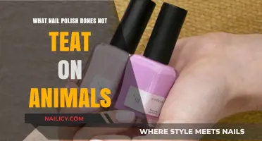 Cruelty-Free Nail Polish: Top Brands That Don’t Test on Animals