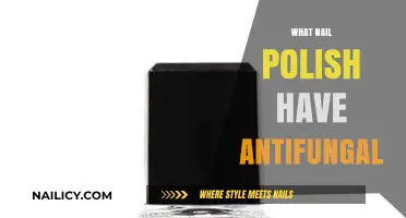 Best Antifungal Nail Polishes to Fight Fungal Infections Effectively