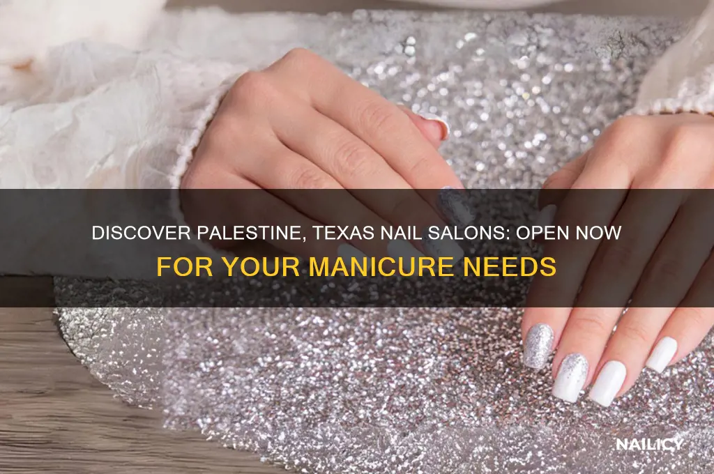 what nail salons are open in palestine texas