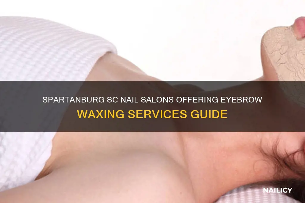 what nail salons do eyebrow waxing in spartanburg sc