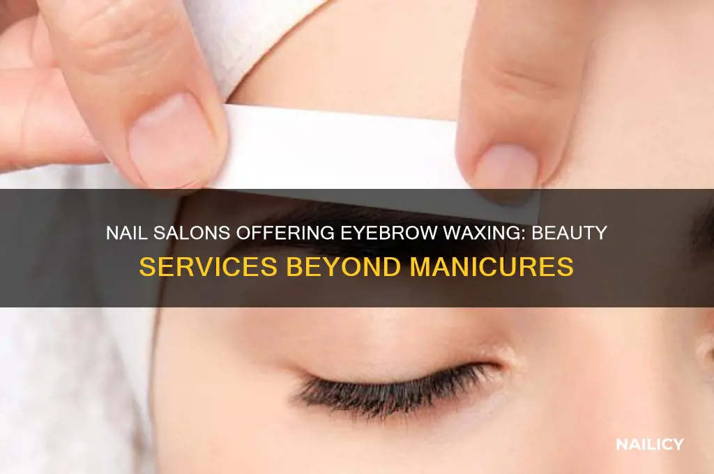 what nail salons do eyebrow waxing