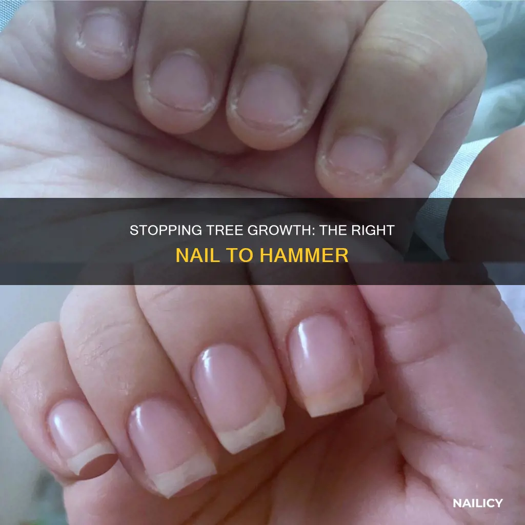 what nail to stop tree from growing