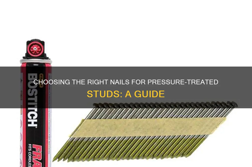 what nail type in presure treated studs