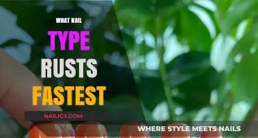 Which Nail Type Rusts Fastest: A Comprehensive Corrosion Comparison