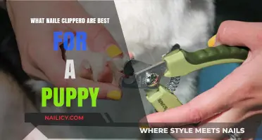 Best Puppy Nail Clippers: Safe, Gentle, and Effective Grooming Tools
