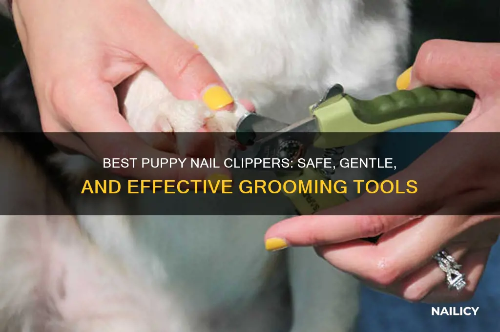 what naile clipperd are best for a puppy
