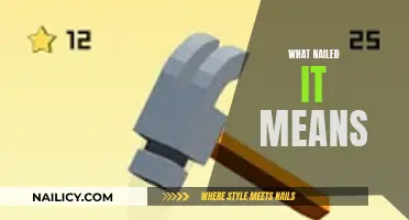 Nailed It: Understanding the True Meaning of This Popular Expression